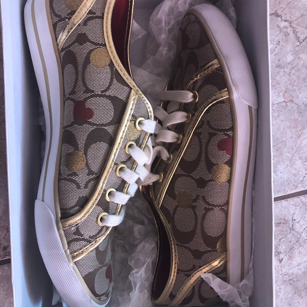 limited edition Secret Admirer Coach Shoes